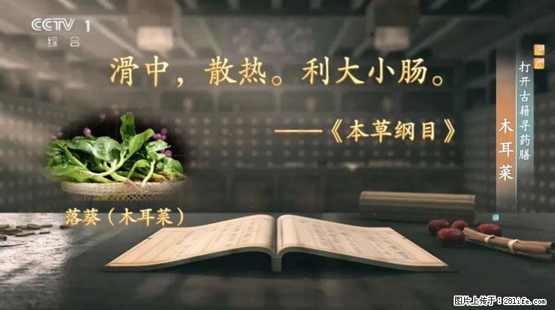 比牛奶补钙还厉害！凉血解毒、稳血糖...这菜冬天必吃，很多人却当草 - 深圳生活资讯 - 深圳28生活网 sz.28life.net