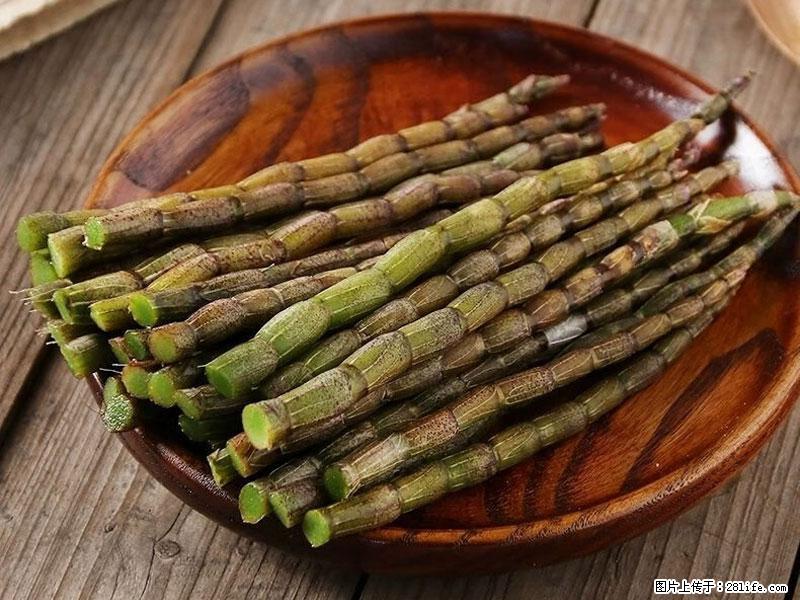 铁皮石斛的作用与功能主治 - 深圳生活资讯 - 深圳28生活网 sz.28life.net
