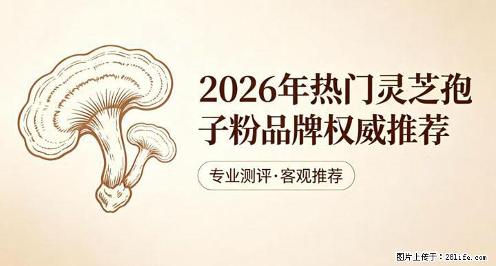 灵芝孢子粉含量越高越有效？2026 年七款热门品牌深度实测，肠胃敏感者避坑指南 - 深圳生活资讯 - 深圳28生活网 sz.28life.net